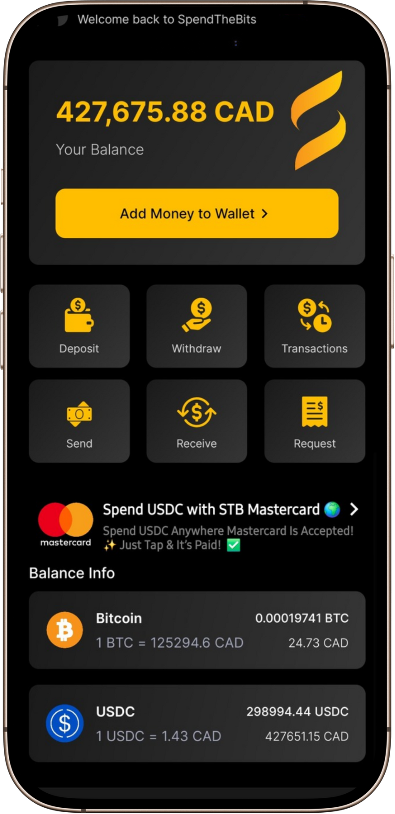 SpendTheBits Wallet Interface